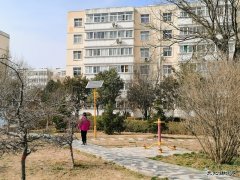 蒲白白水社区：小区这个春天有点儿暖