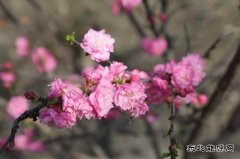 涌鑫矿业公司：最是一年好时光