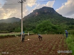 变压器故障：会泽供电局紧急抢修点亮67户山区村民