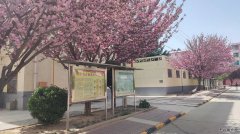 蒲白中心社区：五朵金花并蒂开 各具特色抓服务