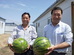 图片新闻：蒲白矿业煤矿运营公司“夏送清凉暖人心”