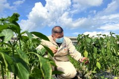 珲春发电厂：“幸福菜地”提升职工幸福感
