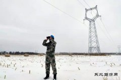佳木斯电网：以雪为令，对抗风雪保供电
