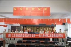 精准帮扶：党建引领乡村振兴