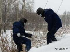 国网松岭供电公司：践行二十大精神 “一切为民”服务葆初心