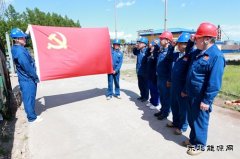 兴凯湖供电公司：“党建+工程”激活工程建设“动力引擎”