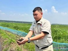 大唐辽宁新亿兆体育事业部：乡村要振兴产业必先行