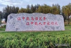 陕西中能煤田有限公司：秋意中能，倾国倾城