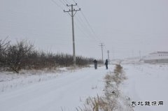 国网巴林左旗供电公司：雪后巡线保障供电安全