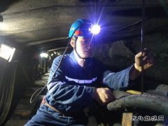 王虎雄：在平凡中坚守，用汗水浇灌收获