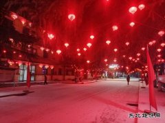 摄影作品：春雪闹新春