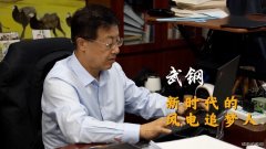 武钢：风电已成火电、水电之后的第三大主力电源