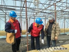 国网牡丹江东宁市供电公司：撑起“安全伞”助力企业“开门红”