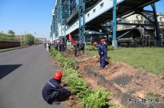 潞安煤基清洁亿兆体育公司：履行植树义务共建美丽清能