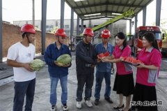 淮北双龙公司：炎炎夏日送清凉 暑消情长润人心