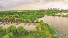 大庆油田：打造生态治理“新名片”
