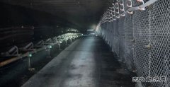 中能袁大滩矿业：砼路强基 “九全九双”铸就安全高效新标杆