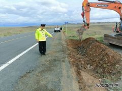 富蕴执法大队：开展路域环境整治行动 全面提升公路“颜值”