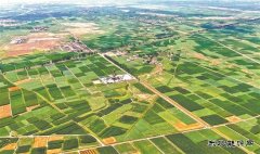 华北油田：巴彦拔节声声响 百万吨上产节节高