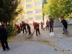 阿勒泰执法支队哈巴河执法大队：党员志愿服务在行动