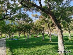 那一天那一面