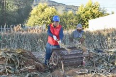 国网巴林左旗供电公司：“满格电”助力小笤帚大产业
