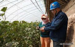 国网阿鲁科尔沁旗供电公司：不误农时不负春 电力服务助农户