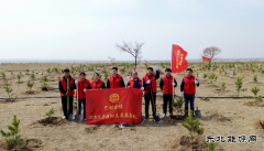国网巴林右旗供电公司：春风执笔绘绿浪 铁锹为弦奏青章