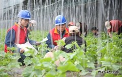 国网阿鲁科尔沁旗供电公司：电力赋能奏响乡村振兴“交响曲”