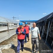国网牡丹江东宁市供电公司：服务菌农 助力木耳产业用电安全