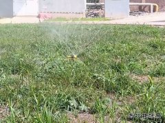 牛儿庄采矿公司：废水巧利用环保又节能