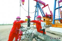 辽河冷家油田：稠油冷采 节能增产