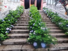 烟雨花寺