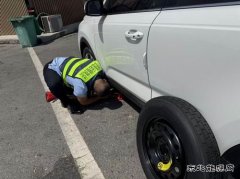 ：Ｖ捶ù蠖：跨区域联动 共绘交通服务新画卷