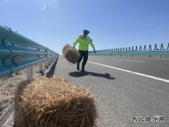 哈巴河执法大队：货物装载切不能“草草了事”