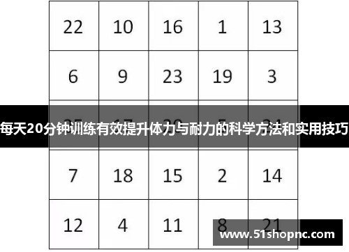 每天20分钟训练有效提升体力与耐力的科学方法和实用技巧