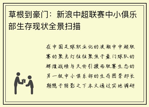 草根到豪门：新浪中超联赛中小俱乐部生存现状全景扫描
